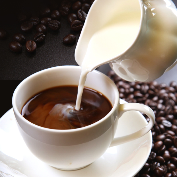 コーヒー